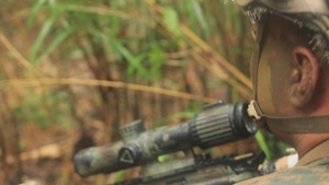Counter Assault Exercise B-Roll