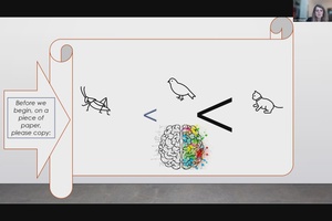 How We Use Our Brains, Data, and Narratives to Either Develop or Become Stagnant