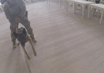 378th ESFS: Police Week 2022