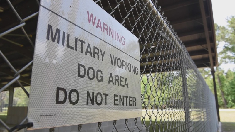 Moody AFB receives new Military Working Dog