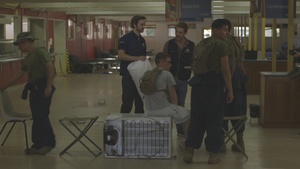 MRF-D 22: Exercise Crocodile Response