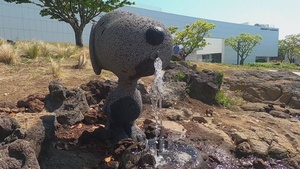 Snoopy Garden