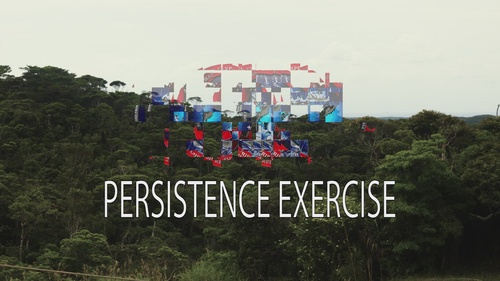 Persistence Exercise