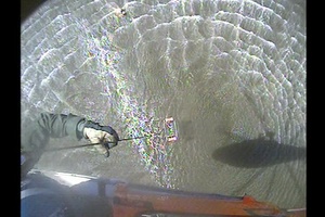 Coast Guard, partner agencies searching for 3 men in the Wilmington River