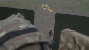 25th Trans BN FTX