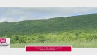 A Glimpse Into Forestry:  It's a Passion