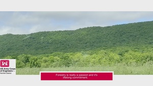 A Glimpse Into Forestry:  It's a Passion