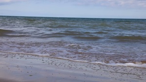 D-Day 78: Omaha Beach Remembrance