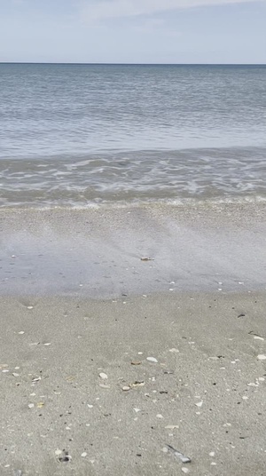 SOCIAL MEDIA VIDEO: D Day 78 Utah Beach Memorial Ceremony
