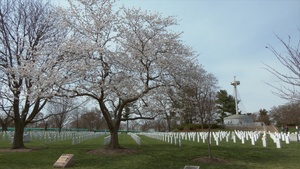 Spring 2022 B-Roll - Arlington National Cemetery