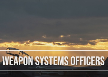 Weapon Systems Officers