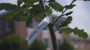 Belleau Wood Tree Planting