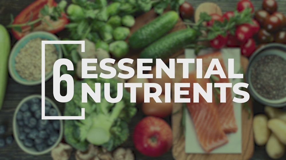 DVIDS - Video - The 6 Essential Nutrients You Need To Power Your ...