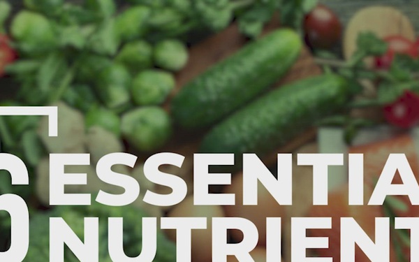 The 6 Essential Nutrients You Need to Power Your Performance!