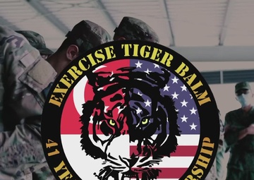 Exercise Tiger Balm 2022 Professional Exchange