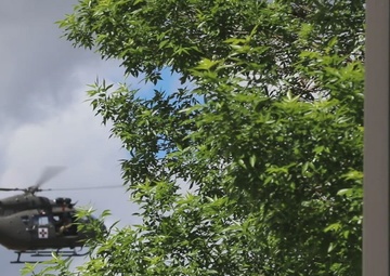 112th Delta Co (AA) LUH Litter Training - Golden Coyote 22