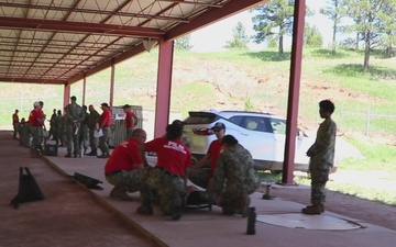 PILM EMF Jacksonville - Golden Coyote