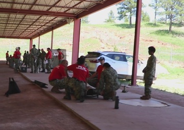 PILM EMF Jacksonville - Golden Coyote