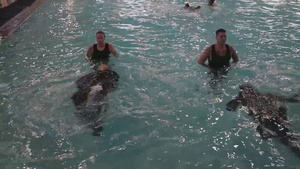Charlie Company Iron Ducks