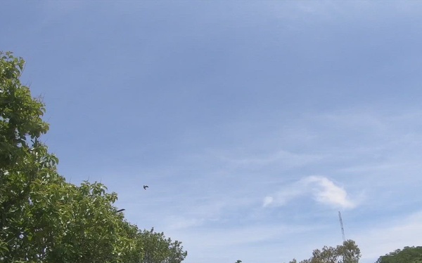 Fuerzas Comando 2022 - Day 8 - Water and Land Course