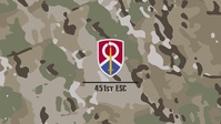 451st ESC's Field Feeding Team Excels at CSTX