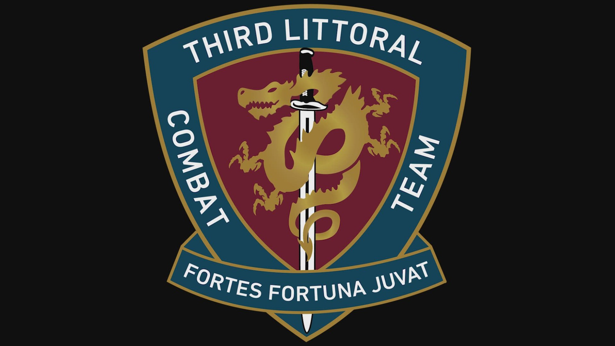 USMC First Battalion Third Marines Fortes Fortuna Juvat Veteran