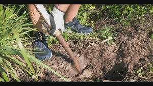 Members help improve environment at MacDill