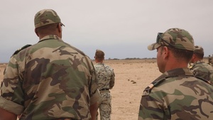 EOD at African Lion 2022