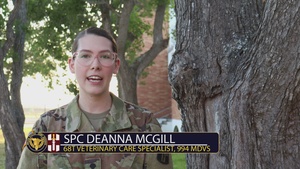 U.S. Army Reserve Veterinary Detachment Provides No-Cost Vaccinations and Care to Animals