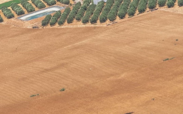 End of Day 28 June 2022 African Lion