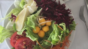 What is Performance Nutrition?