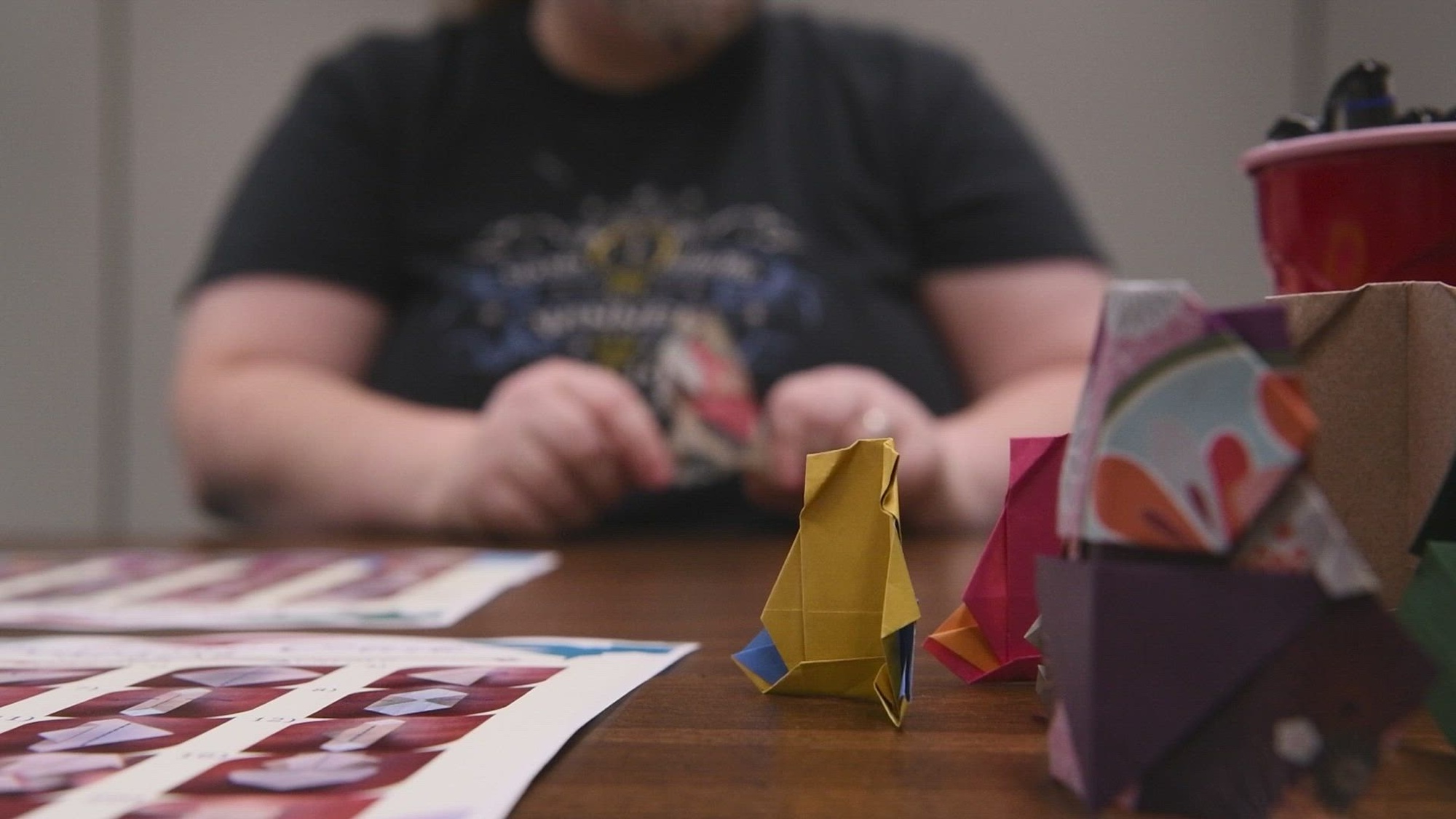 Yokota Air Base Library hosts a Origami club teaching people of all ages the art of Origami. Each meet up they learn how to fold paper into a specific animal or object then encourage everyone to try other designs. (U.S. Air Force video by Senior Airman James Kennedy)<br /><br />NO GRAPHICS<br />16:06 Juiz Witt-Brown<br />Librarian