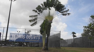 Sailors participates in Tennis Tournament During Rim of Pacific (RIMPAC) 2022
