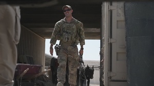 Military Working Dog Dream Team