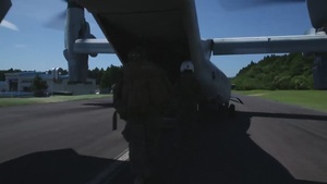 Shinka 22.1: Realistic Combat Training