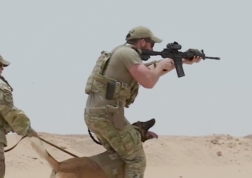 378th ESFS K9 firing range training