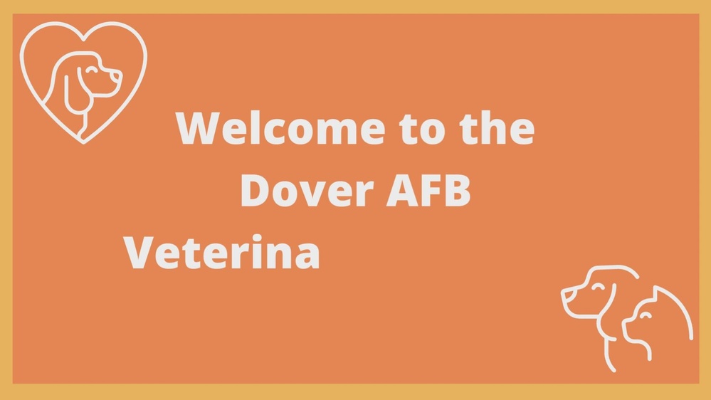 DVIDS Video Dover AFB Vet Clinic