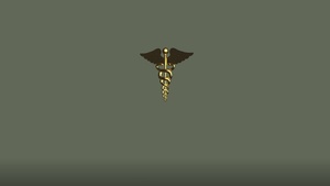 Veterinary Corps 106th Anniversary