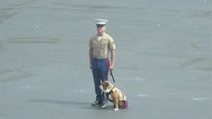 India Company Graduation at MCRD San Diego