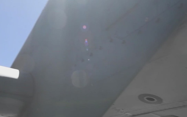 Sentry Eagle and Open House 2022 Quick Clip