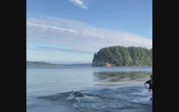 15JUL22 2-2 SBCT SITREP Video