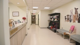 B-Roll string Pet Care Center