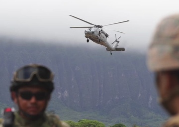 Valkyrie Training with partner nations B-roll