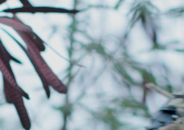 Urban Close Combat Culminator RIMPAC 22 - Showreel