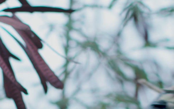 Urban Close Combat Culminator RIMPAC 22 - Showreel