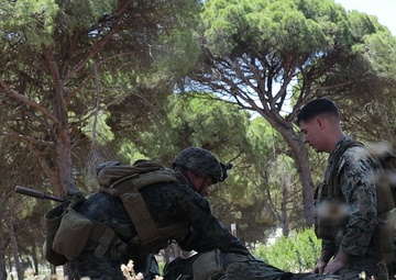 1/8 Spanish FLOTEX-22