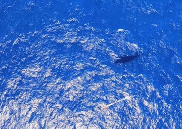 RIMPAC 2022: CH-148 Cyclone TORPEX