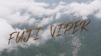1st Marine Aircraft Wing: Fuji Viper 22
