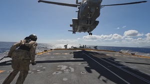 RIMPAC 2022: CH-148 CYCLONE HOIST