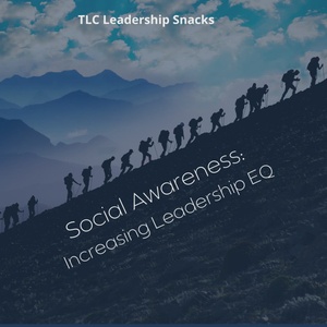 Leadership Snacks; Increasing Leadership EQ